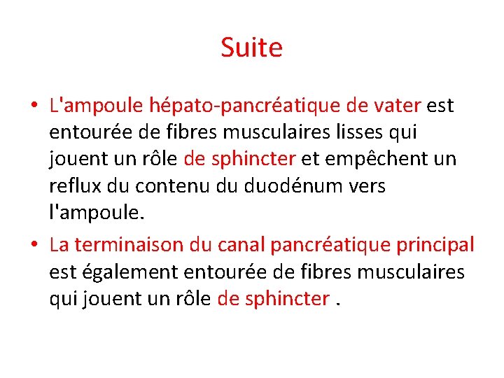 Suite • L'ampoule hépato-pancréatique de vater est entourée de fibres musculaires lisses qui jouent