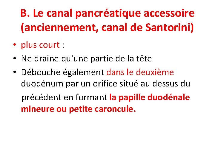 B. Le canal pancréatique accessoire (anciennement, canal de Santorini) • plus court : •