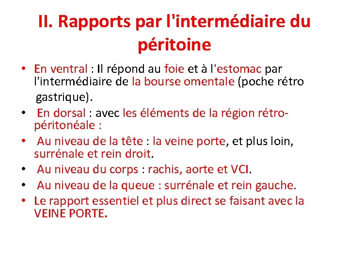 II. Rapports par l'intermédiaire du péritoine • En ventral : Il répond au foie