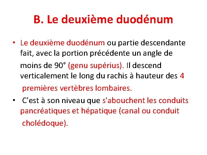 B. Le deuxième duodénum • Le deuxième duodénum ou partie descendante fait, avec la