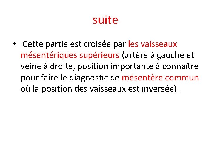 suite • Cette partie est croisée par les vaisseaux mésentériques supérieurs (artère à gauche