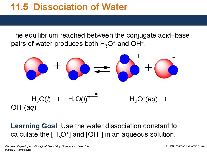 11. 5 Dissociation of Water The equilibrium reached between the conjugate acid–base pairs of