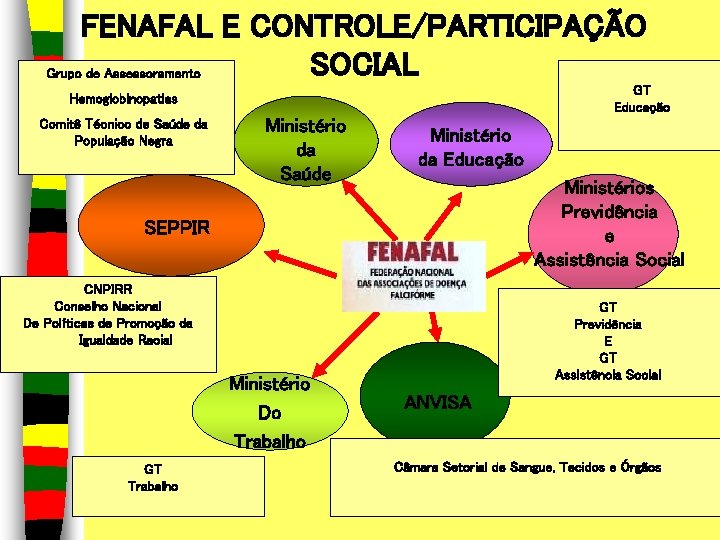 FENAFAL E CONTROLE/PARTICIPAÇÃO SOCIAL Grupo de Assessoramento GT Educação Hemoglobinopatias Comitê Técnico de Saúde