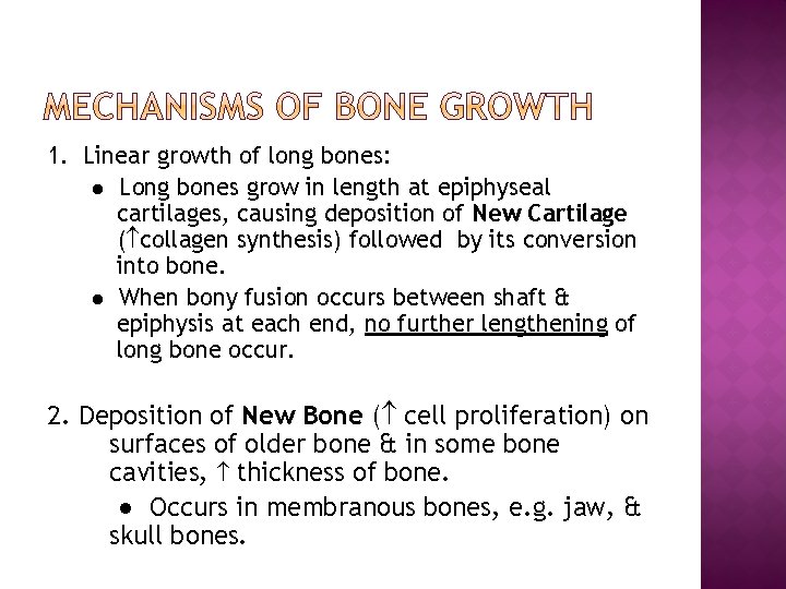 1. Linear growth of long bones: ● Long bones grow in length at epiphyseal