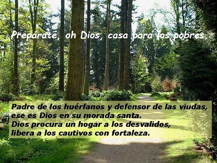 Prepárate, oh Dios, casa para los pobres. Padre de los huérfanos y defensor de