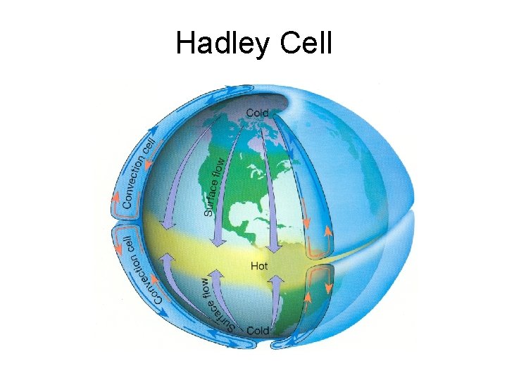 Hadley Cell 