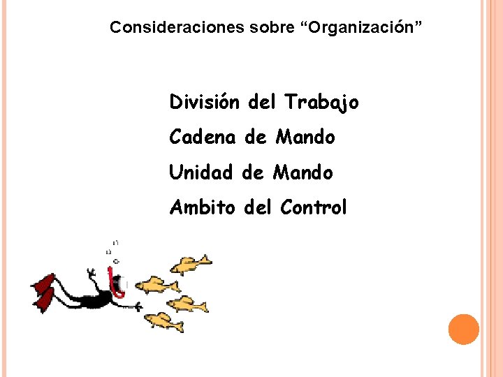 Consideraciones sobre “Organización” División del Trabajo Cadena de Mando Unidad de Mando Ambito del