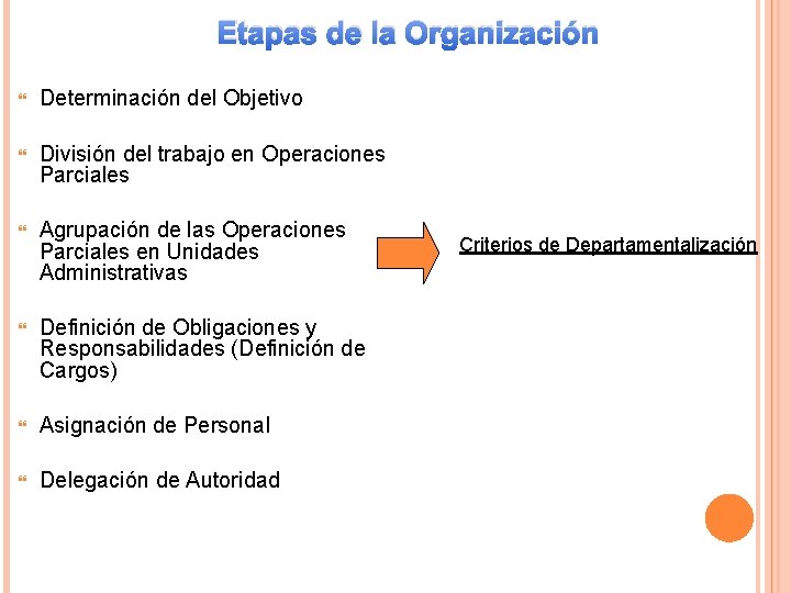 Etapas de la Organización Determinación del Objetivo División del trabajo en Operaciones Parciales Agrupación