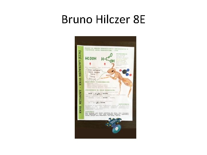 Bruno Hilczer 8 E 