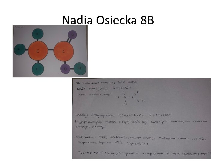 Nadia Osiecka 8 B 