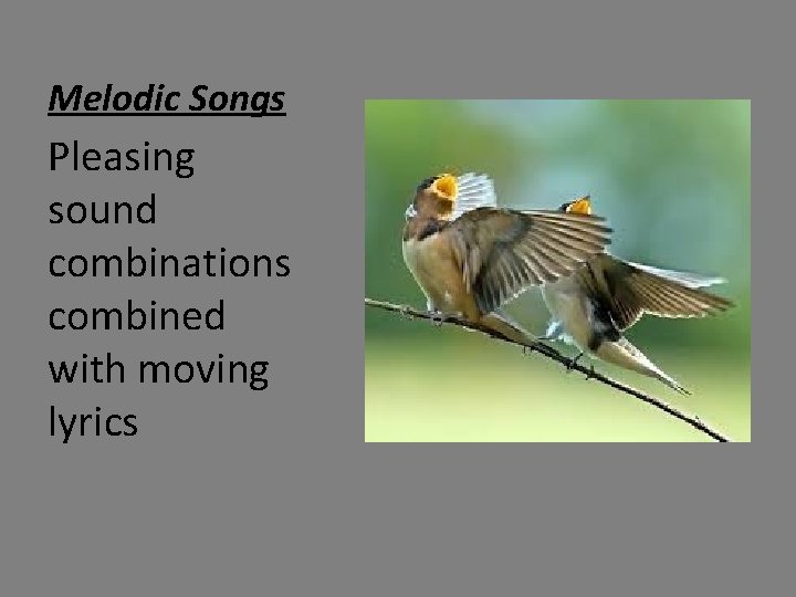 Melodic Songs Pleasing sound combinations combined with moving lyrics 