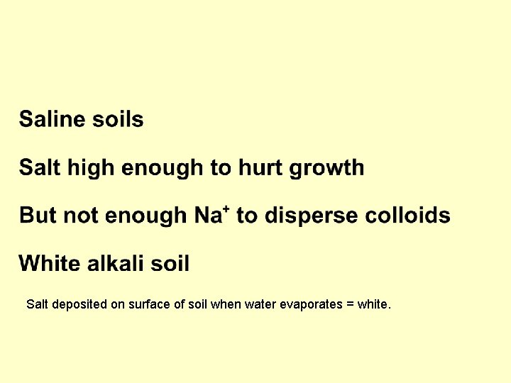 Salt deposited on surface of soil when water evaporates = white. 