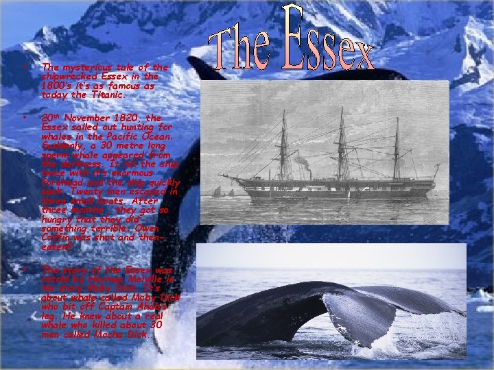  • The mysterious tale of the shipwrecked Essex in the 1800’s it’s as