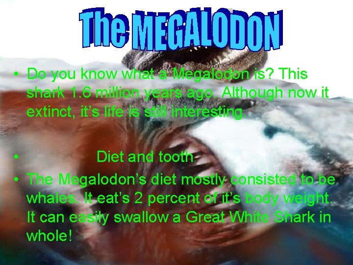  • Do you know what a Megalodon is? This shark 1. 6 million