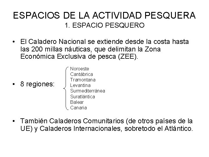 ESPACIOS DE LA ACTIVIDAD PESQUERA 1. ESPACIO PESQUERO • El Caladero Nacional se extiende