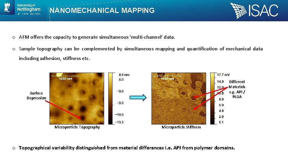 NANOMECHANICAL MAPPING o AFM offers the capacity to generate simultaneous ‘multi-channel’ data. o Sample