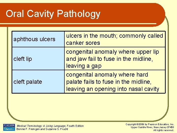 Oral Cavity Pathology aphthous ulcers cleft lip cleft palate ulcers in the mouth; commonly