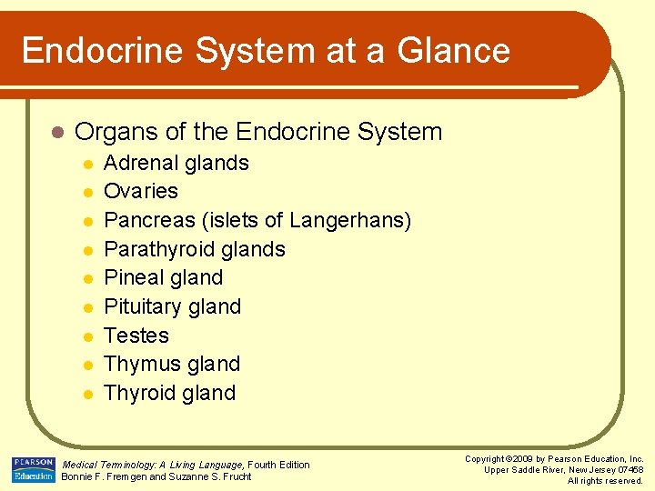 Endocrine System at a Glance l Organs of the Endocrine System l l l