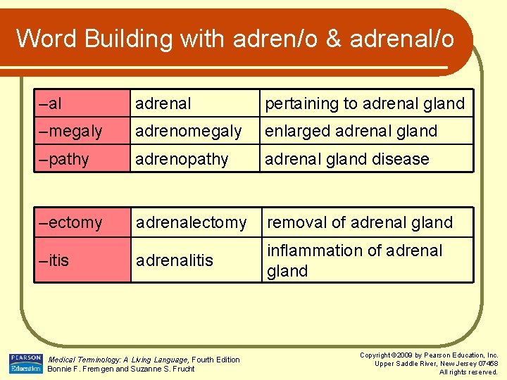 Word Building with adren/o & adrenal/o –al adrenal pertaining to adrenal gland –megaly adrenomegaly