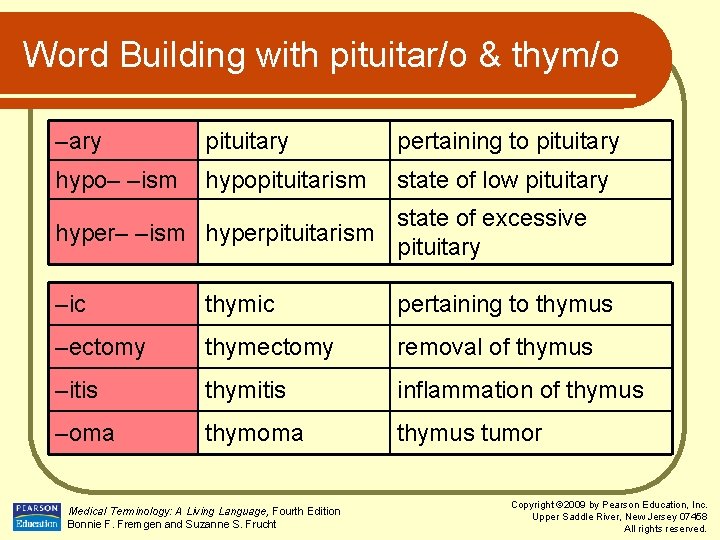 Word Building with pituitar/o & thym/o –ary pituitary pertaining to pituitary hypo– –ism hypopituitarism