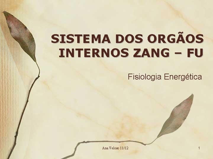 SISTEMA DOS ORGÃOS INTERNOS ZANG – FU Fisiologia Energética Ana Veloso 11/12 1 