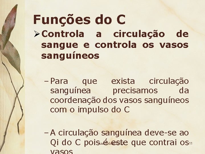 Funções do C Ø Controla a circulação de sangue e controla os vasos sanguíneos