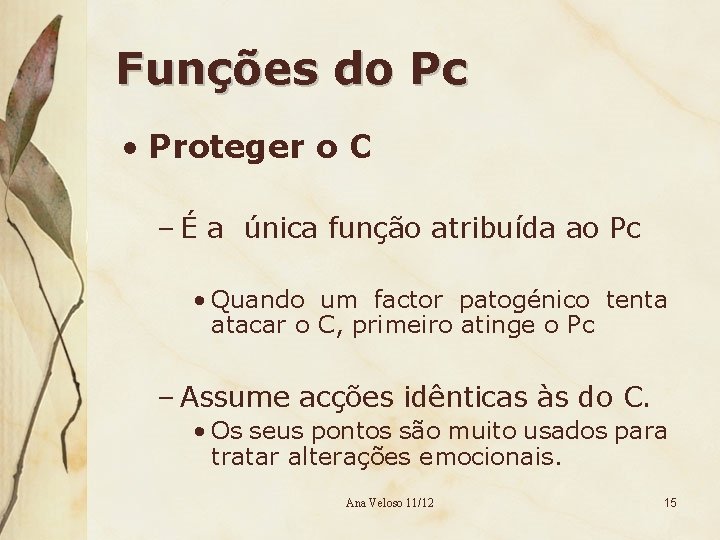 Funções do Pc • Proteger o C – É a única função atribuída ao