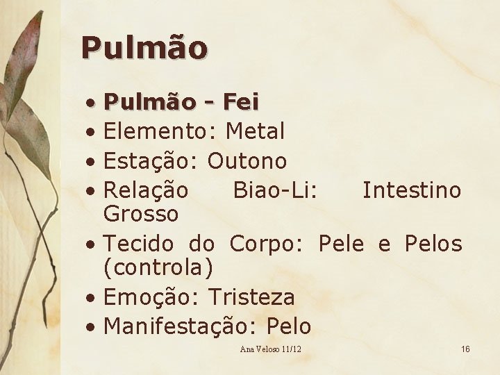 Pulmão • Pulmão - Fei • Elemento: Metal • Estação: Outono • Relação Biao-Li: