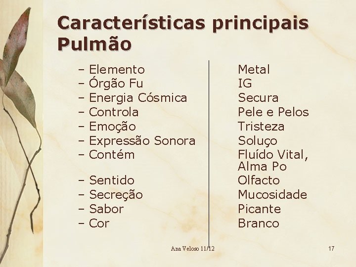 Características principais Pulmão – Elemento – Órgão Fu – Energia Cósmica – Controla –