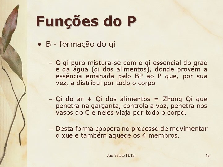 Funções do P • B - formação do qi – O qi puro mistura-se