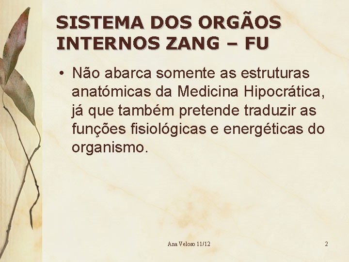 SISTEMA DOS ORGÃOS INTERNOS ZANG – FU • Não abarca somente as estruturas anatómicas