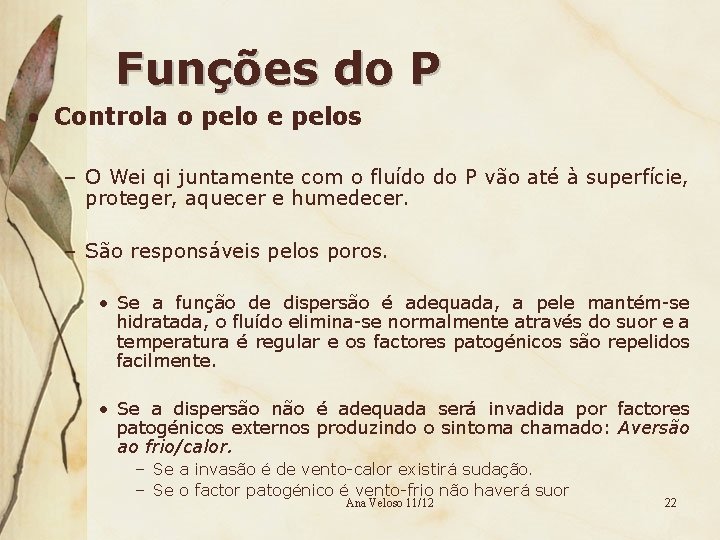 Funções do P • Controla o pelo e pelos – O Wei qi juntamente