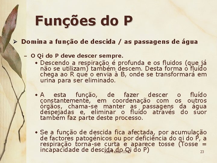 Funções do P Ø Domina a função de descida / as passagens de água