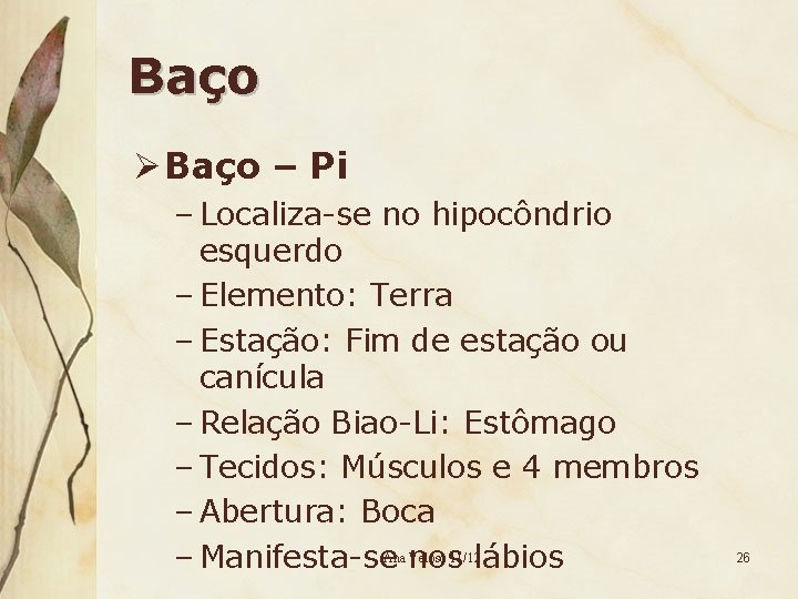 Baço Ø Baço – Pi – Localiza-se no hipocôndrio esquerdo – Elemento: Terra –