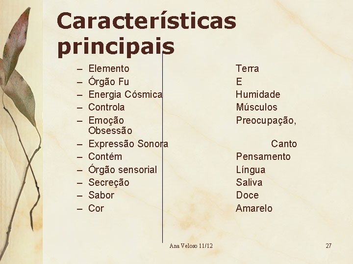 Características principais – – – Elemento Órgão Fu Energia Cósmica Controla Emoção Obsessão Expressão