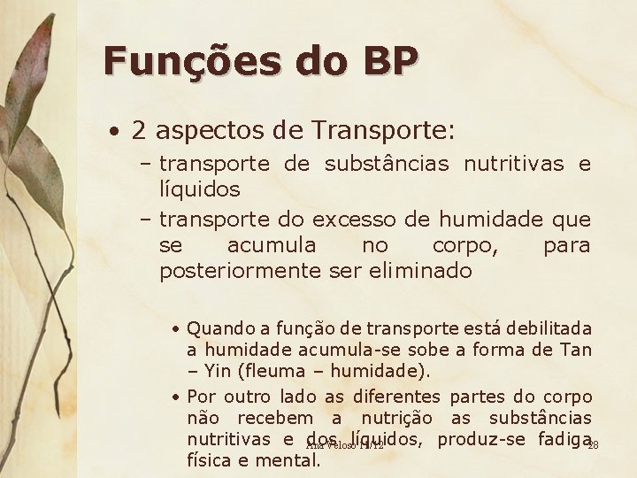 Funções do BP • 2 aspectos de Transporte: – transporte de substâncias nutritivas e