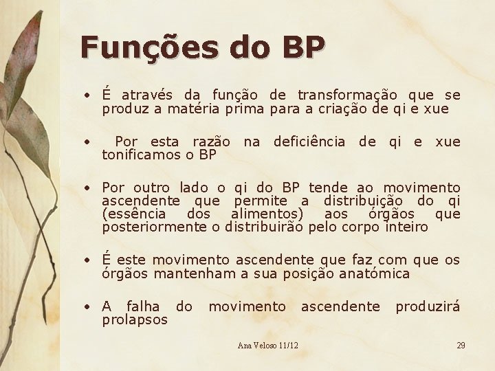 Funções do BP • É através da função de transformação que se produz a