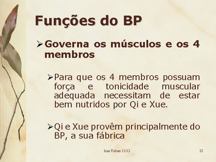 Funções do BP Ø Governa os músculos e os 4 membros ØPara que os