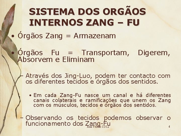 SISTEMA DOS ORGÃOS INTERNOS ZANG – FU • Órgãos Zang = Armazenam • Órgãos