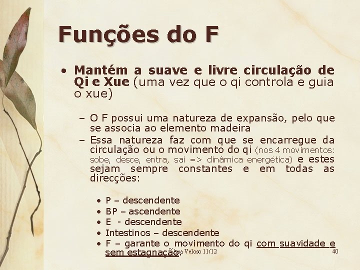 Funções do F • Mantém a suave e livre circulação de Qi e Xue