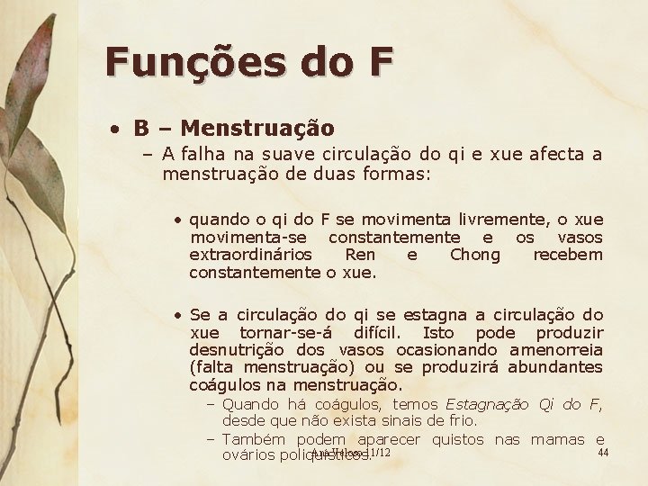 Funções do F • B – Menstruação – A falha na suave circulação do