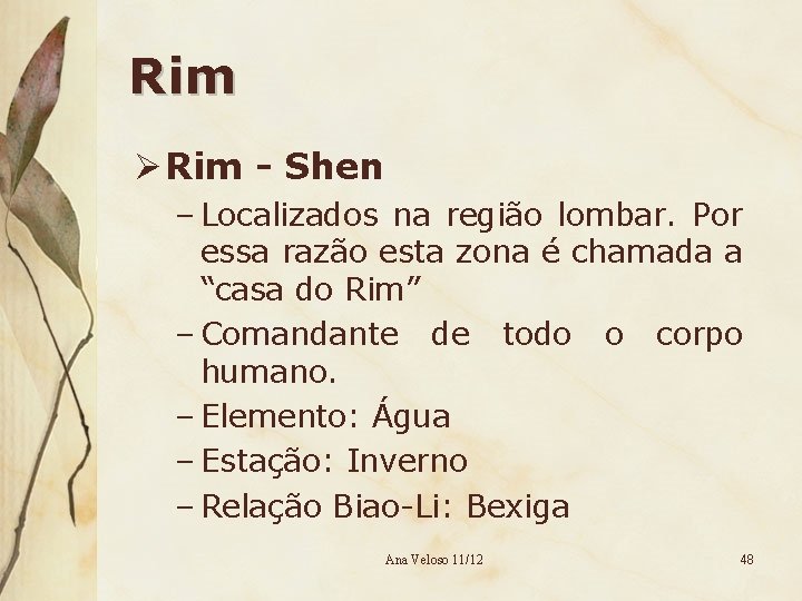 Rim Ø Rim - Shen – Localizados na região lombar. Por essa razão esta