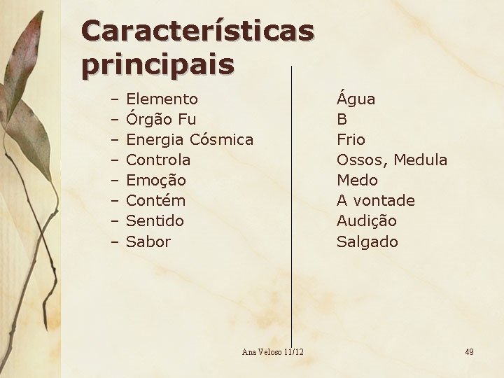 Características principais – – – – Elemento Órgão Fu Energia Cósmica Controla Emoção Contém