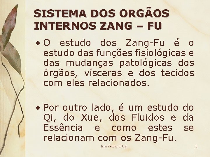 SISTEMA DOS ORGÃOS INTERNOS ZANG – FU • O estudo dos Zang-Fu é o