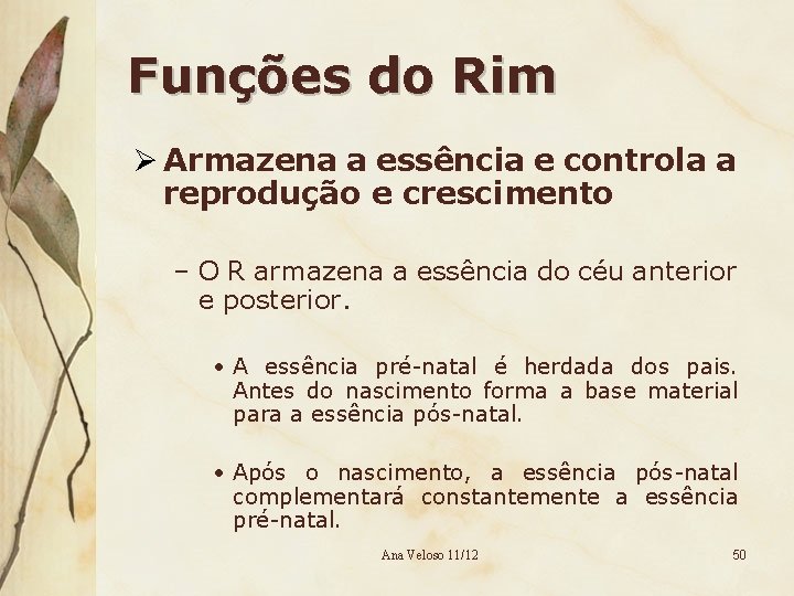 Funções do Rim Ø Armazena a essência e controla a reprodução e crescimento –