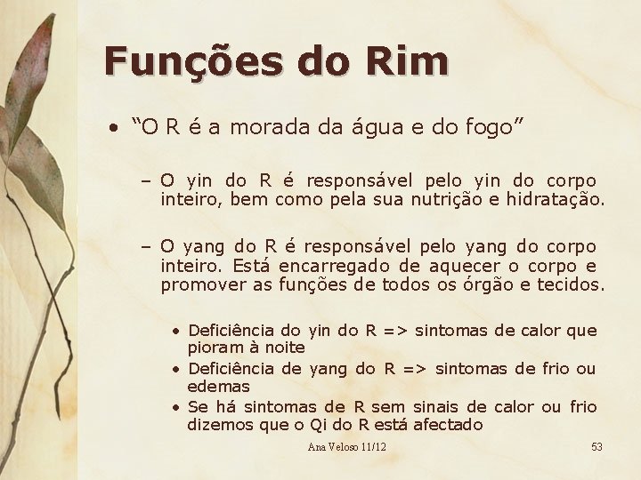 Funções do Rim • “O R é a morada da água e do fogo”