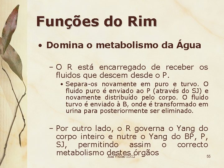 Funções do Rim • Domina o metabolismo da Água – O R está encarregado