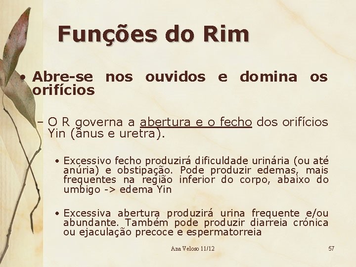 Funções do Rim • Abre-se nos ouvidos e domina os orifícios – O R