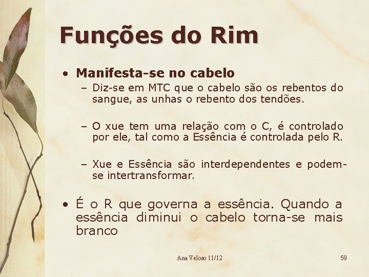 Funções do Rim • Manifesta-se no cabelo – Diz-se em MTC que o cabelo