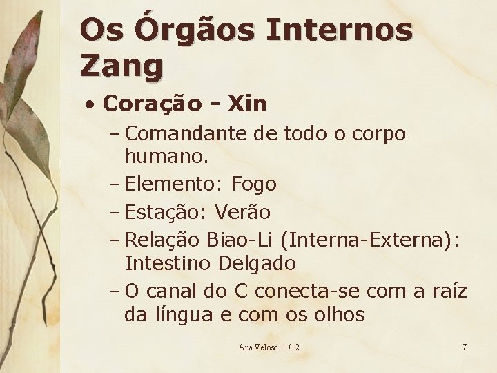 Os Órgãos Internos Zang • Coração - Xin – Comandante de todo o corpo